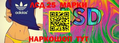 spice Бийск