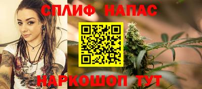 мяу мяу мука Беслан