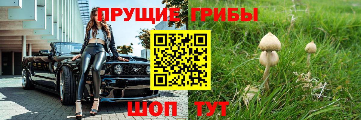 наркотики  Галлюциногенные грибы ЛСД  Вход с VPN  Когалым 
